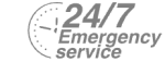 24/7 Emergency Service Pest Control in Chigwell Row, Chigwell, IG7. Call Now! 020 8166 9746